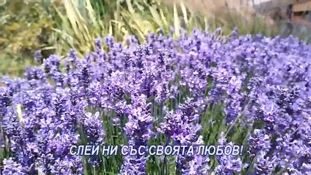 СЛЕЙ НИ В ЕДНО, БОЖЕ