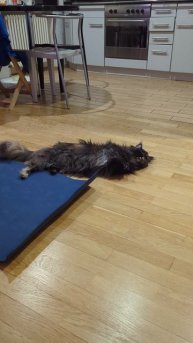 Регулярно занимаюсь йогой