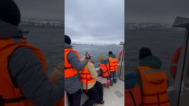 Морская прогулка за китами в Териберку