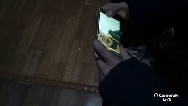 Игорь Сидор's broadcast