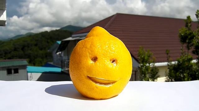 С ДНЁМ РОЖДЕНЬЯ ЭЛЯ ОТ ЛИМОНЫЧА