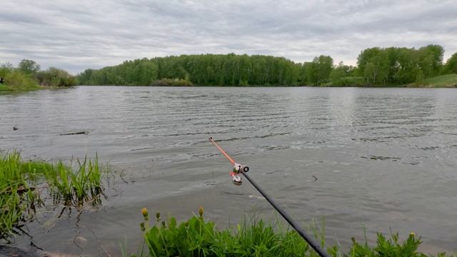 ПОКЛЁВКА КАРАСЯ