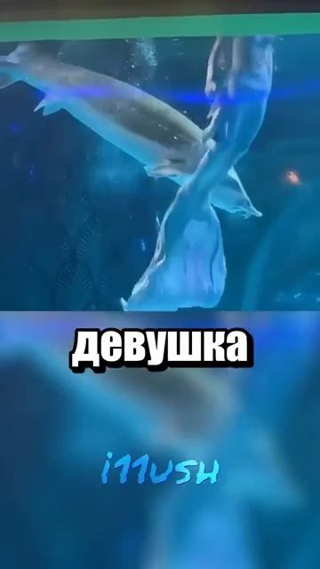 i11ushenka (1277)