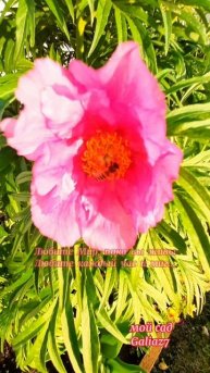 Любите Мир, пока вы живы... Доброго всем утра!