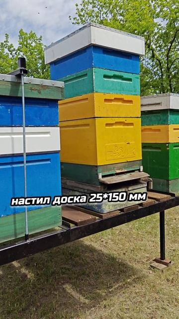 Модуль для пчёл своими руками.
