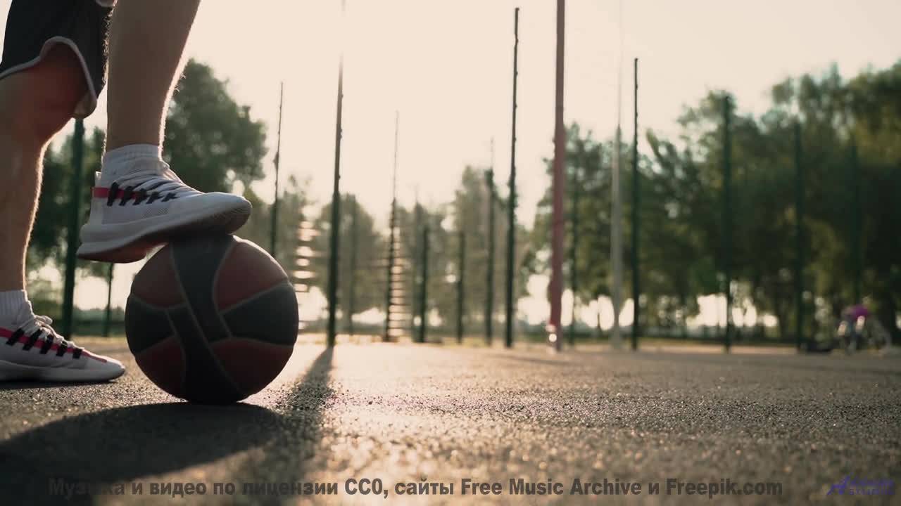 Леса дышат, когда играет эта потрясающая мелодия - skammers - aloe barbadenses leaf and cucumis sati