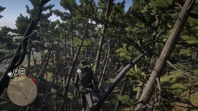 RDO | Нью Гановер. Место падения второго метеорита.