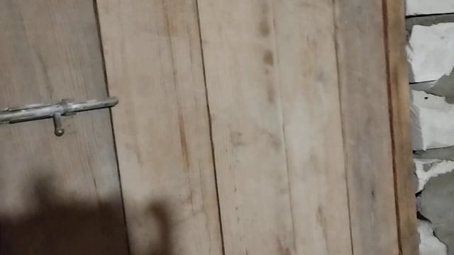 🌲🪴Делаем череночник для зимнего черенкования Горте
