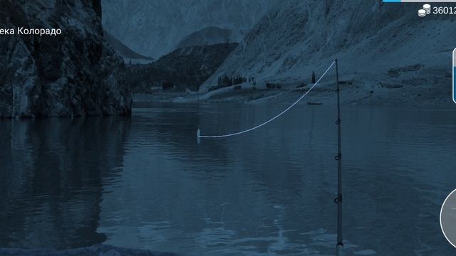 My Fishing World Фарм на реке Колорадо
