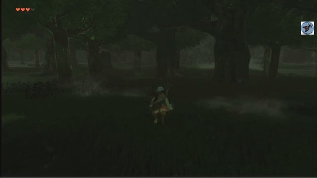 The Legend of Zelda Breath of the Wild, часть 8. Первый  Каменный глыбник.