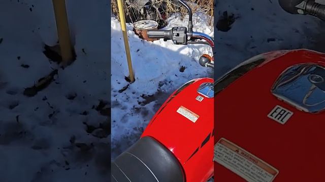 Первый запуск баджадж боксёр 🏋️ 125 2025, весна 8 марта.