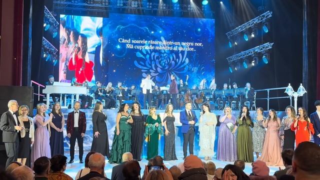 Серебряная хризантема 1