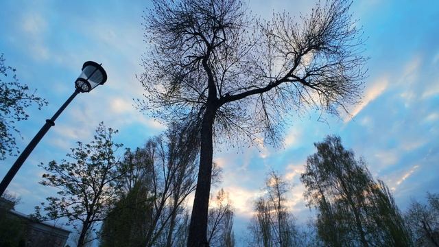 Шаурма на колесах: Вечерняя велопокатушка по Самаре!