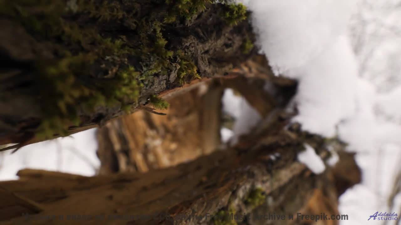 Горы, скорость и звук, который не даёт сбавить обороты! - This Little Piggy -- Podington Bear -- The