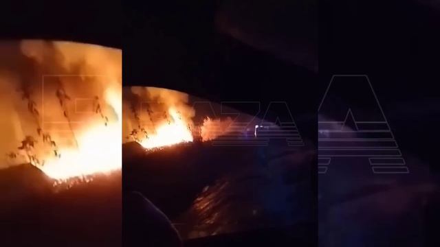 Жители Коркино победили