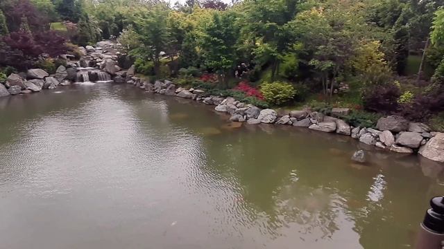 Японский сад. Краснодар. Релакс.