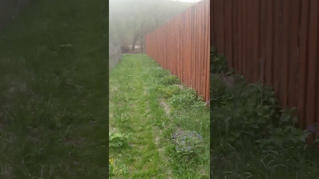 VID_20250520_173952.mp4