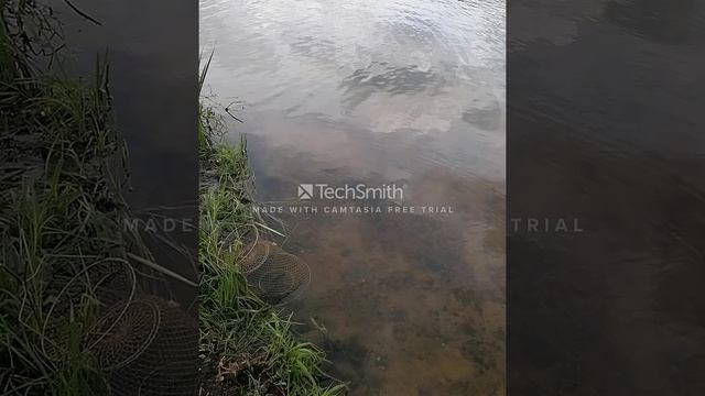 отдых на Десногорском водохранилище