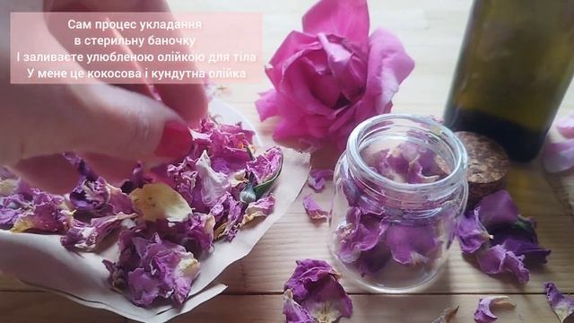 Олія роз своїми руками /Розовое масло своими руками #м?