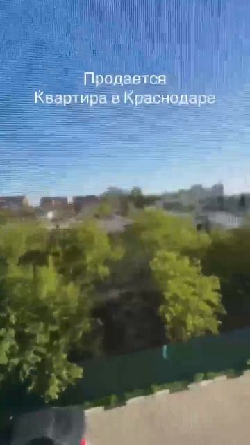 Видео WhatsApp 2025-05-13 в 16.01.21_e8afebee