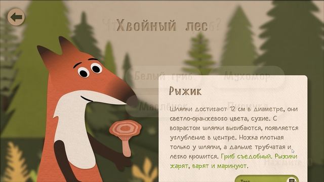 Анимированный прототип обучающего приложения Лисья поляна, Ксения Костыгина, Ульяна Белова