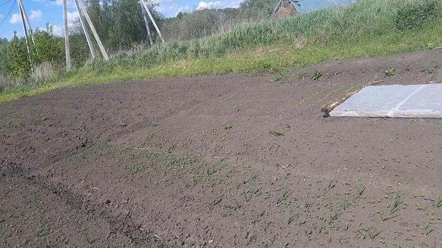 Участок!