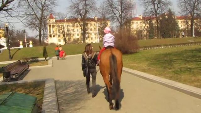 Кони на улицах Минска