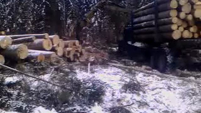 Урал Фишка в Тайге последние рейсы из леса