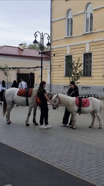 20250521_Нургалиев Саламат_Оренбург.mp4