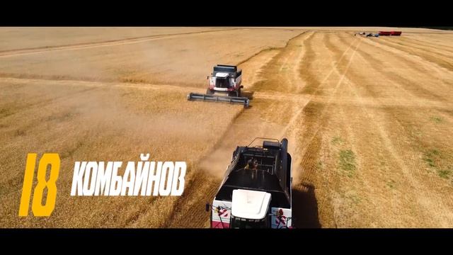 Дрожжаное Рассвет Агро 2024 - июль