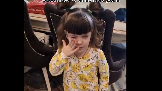 Проект "Домашние питомцы" в младшей группе "Волшебники"