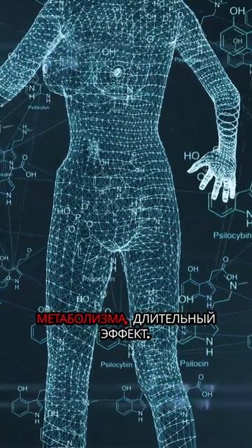Лучшее средство для похудения