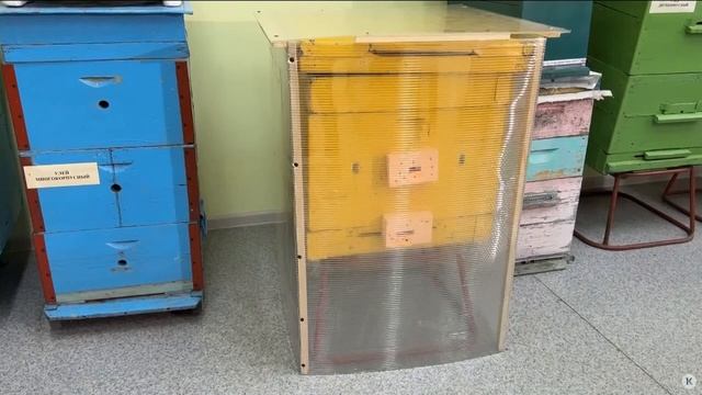 К24_Пчеловоды АГАУ