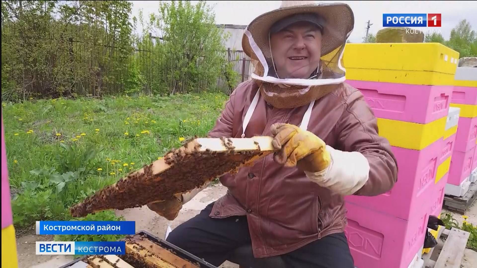 В Костромской сельхозакадемии практикуют тактичный подход к пчеловодству – здороваются с насекомыми