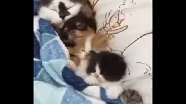 убойные обломные приколы