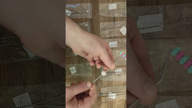 1000016471.mp4