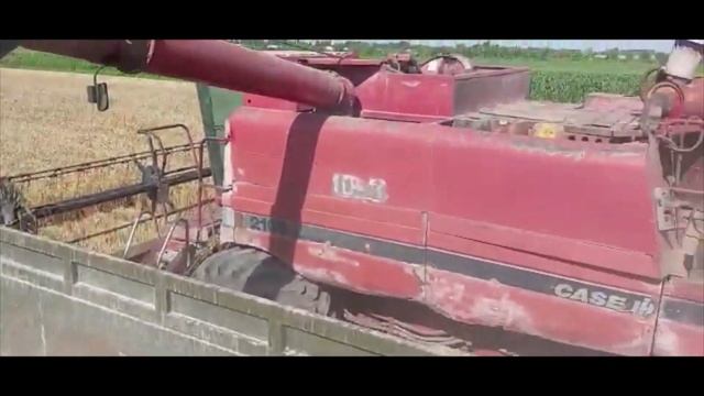 УРОЖАЙ ПШЕНИЦЫ ЧАСТЬ 1 |URAL 375| _MSM_
