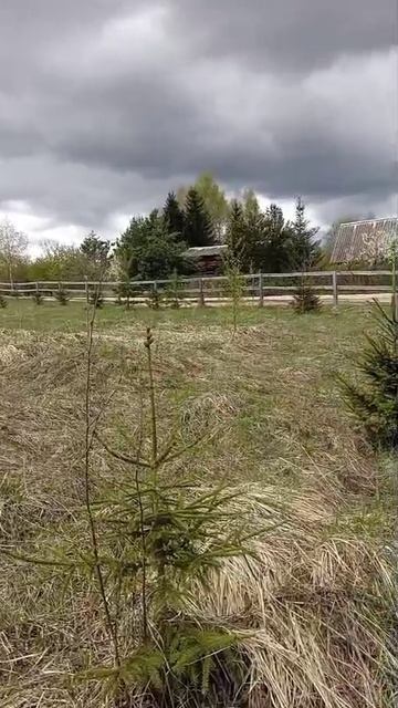 д. Желомеено 50-18-0050407-1222