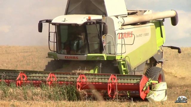 Добиваем последние гектары пшеницы комбайном Claas Lexion 5