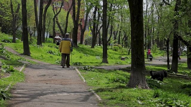 Аллея на Кирова, 5-9 участвует в рейтинговом голосовании за объекты благоустройства.