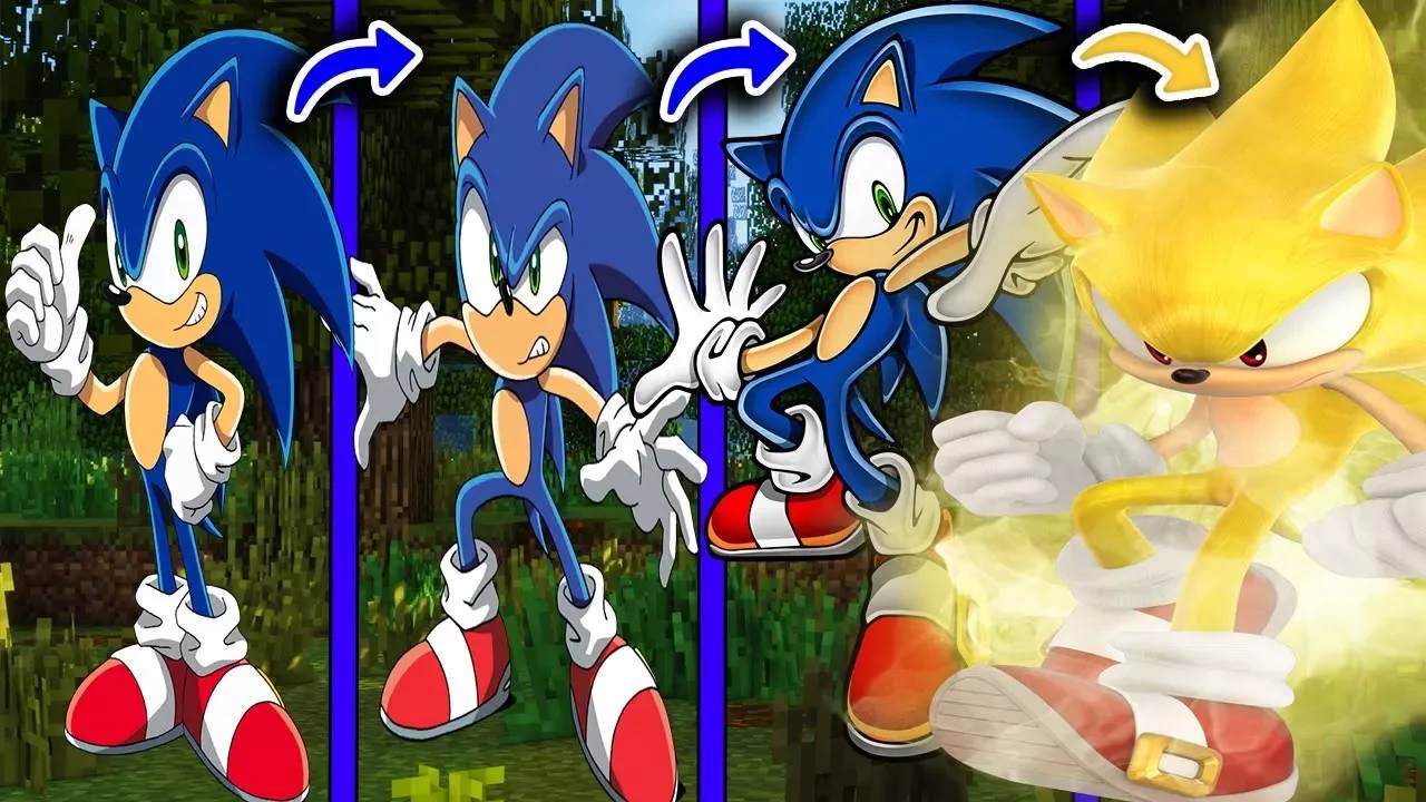 КАК МЕНЯЛСЯ СОНИК И ЕГО ЖИЗНЕННЫЙ ЦИКЛ В МАЙНКРАФТ ~ ЭВОЛЮЦИЯ СОНИКА В MINECRAFT SONIC