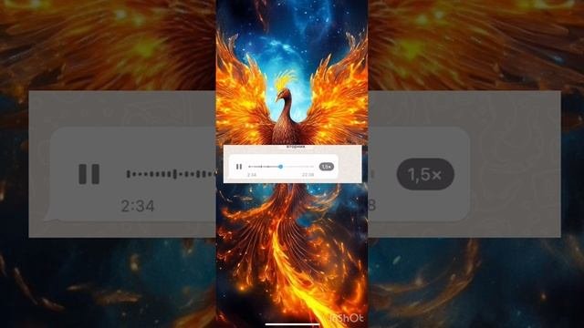 -8624446814541553958