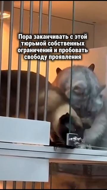 Как выйти из ограничений и чувства невидимой стены #творец #путьксебе  #ограничения #силасознания
