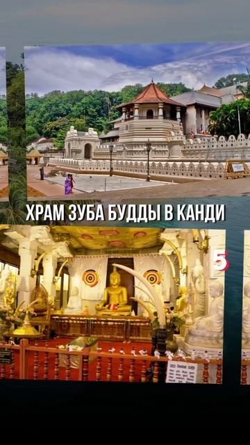 Подписывайтесь на мой аккаунт, чтобы знать все о выгодном отдыхе и незабываемых путешествиях! #отдых