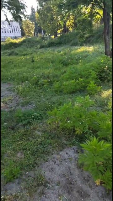 Парк Смецкого в Агудзере
