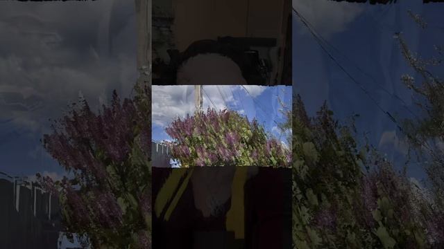 copy_92B26544-1C73-4F84-AEA6-40FEF2B3E3C8 мой отдых с друзьями