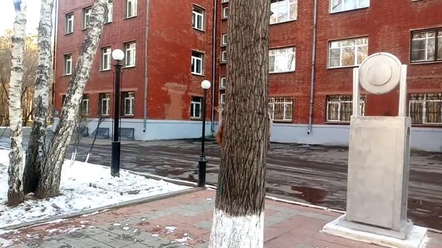 #Белки #Прикол. Белки в прикольной  озвучке