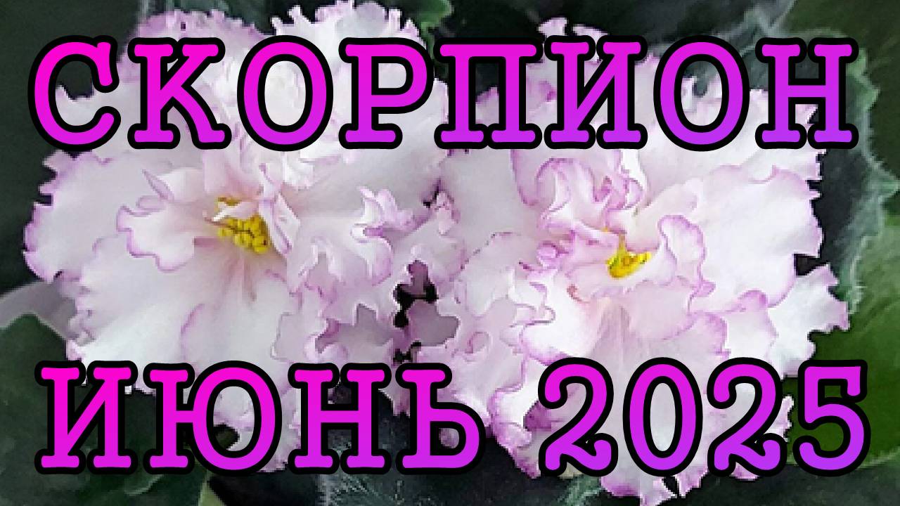 СКОРПИОН таро прогноз на ИЮНЬ 2025 года.
