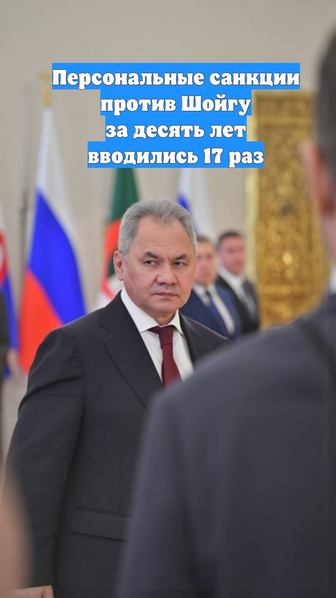 Персональные санкции против Шойгу за десять лет вводились 17 раз