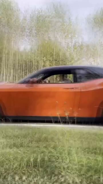 #Dodge Challenger #dodge #challenger #dodgechallenger #doc32 #doctor32 #burnout #wheelie